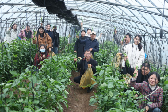 微信图片_2025-12-15_162808_805.png 微信图片_2025-12-15_162808_805.png